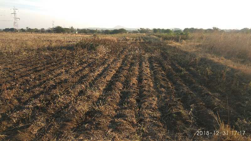 Agricultural Land 25000 Sq.ft. for Sale in