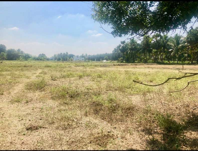 Farm Land for Sale in Tindivanam, Villupuram (REI882008)