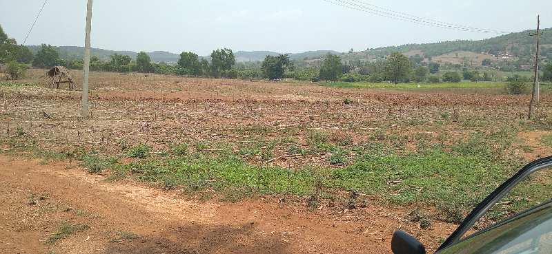 Agricultural Land 40 Acre For Sale In Kittur, Belgaum (REI958015)