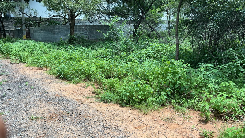  Residential Plot 560 Sq. Yards for Sale in Madinaguda, Hyderabad