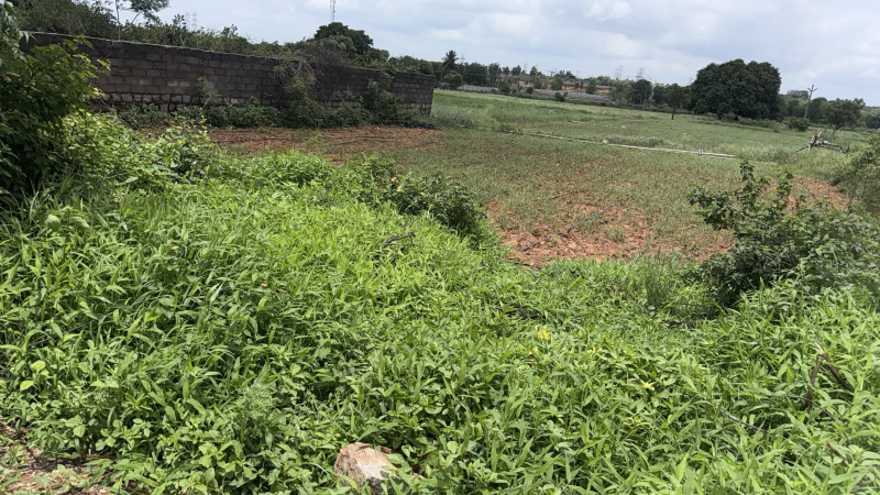 Kandukur, Rangareddy photo 2