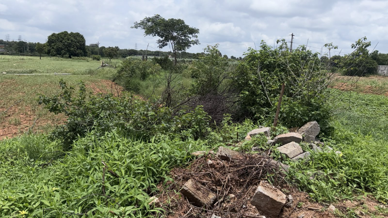Kandukur, Rangareddy photo 5