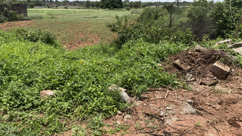 Kandukur, Rangareddy photo 4