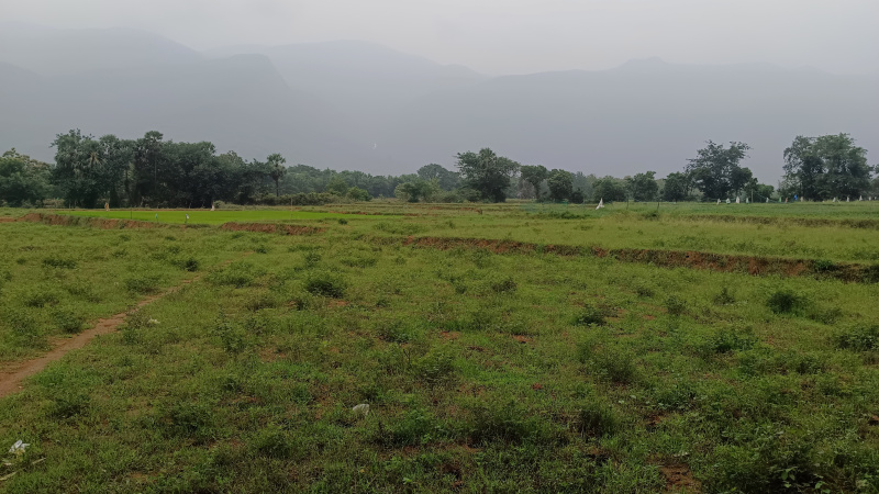  Residential Plot 6 Acre for Sale in Alwarkurichi, Tirunelveli