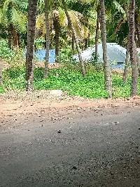  Commercial Land for Sale in Tenkasi, Tirunelveli