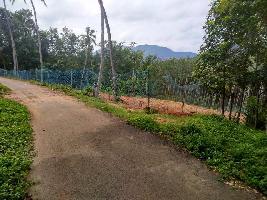  Agricultural Land for Sale in Kumarapuram, Kanyakumari