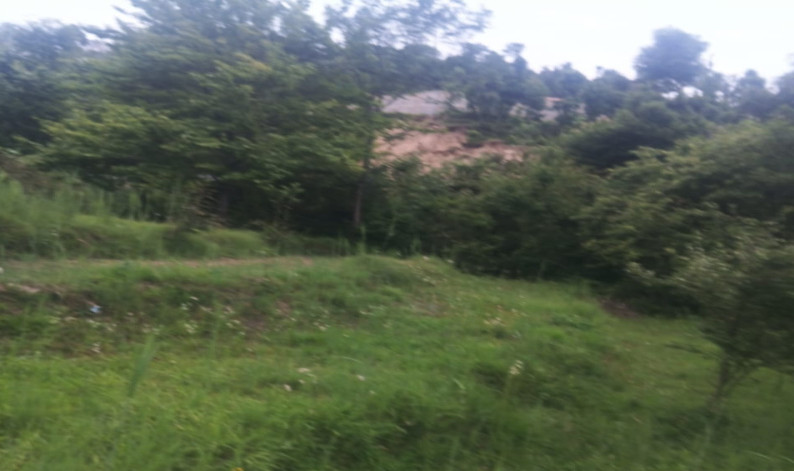 Residential Plot 10800 Sq.ft. for Sale in Lohaghat, Champawat