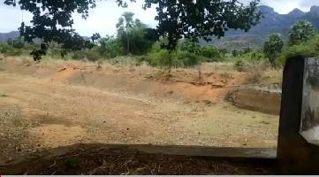  Agricultural Land for Sale in Papanasam, Tirunelveli