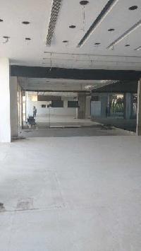  Factory for Sale in Dlf Industrial Area, Faridabad