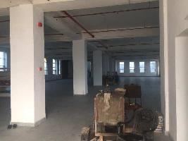  Factory for Rent in Sector 69 Faridabad