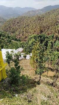  Agricultural Land for Sale in Sarna Padampuri, Nainital