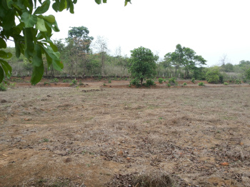  Agricultural Land for Sale in Piligao, Bicholim, Goa