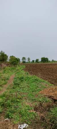  Agricultural Land for Sale in Parseoni, Nagpur