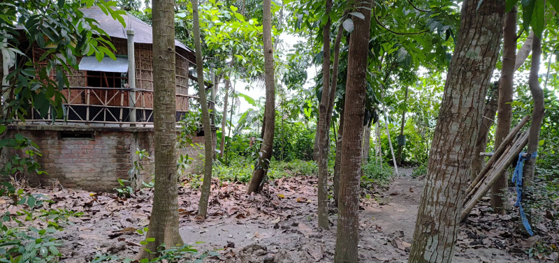  Residential Plot 29 Katha for Sale in Birnagar, Nadia