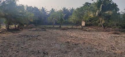  Commercial Land for Sale in Murud, Raigad