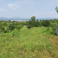  Agricultural Land for Sale in Igatpuri, Nashik