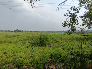  Agricultural Land for Sale in Dindori, Nashik