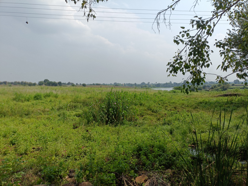  Agricultural Land 1 Acre for Sale in Dindori, Nashik