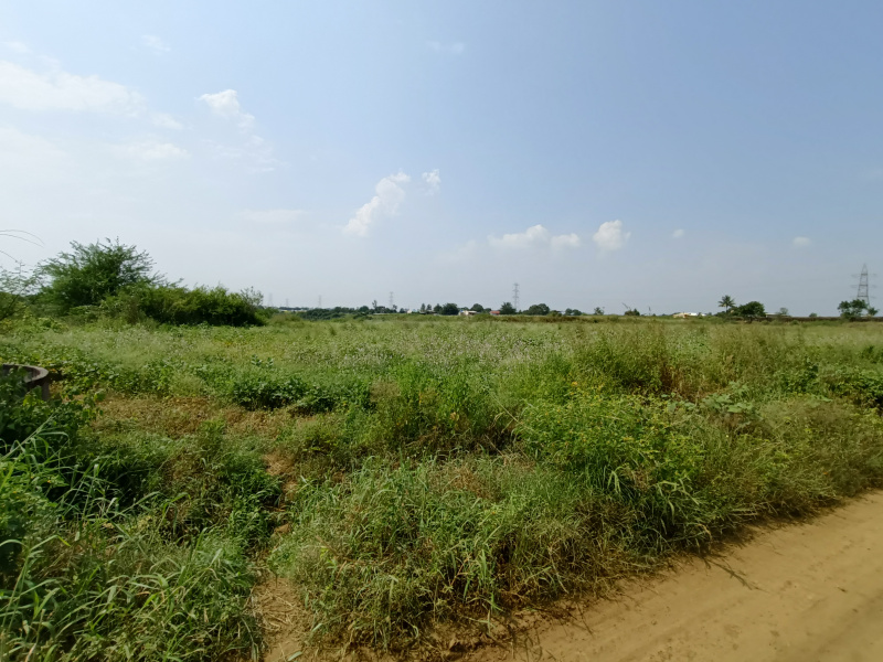  Agricultural Land 1 Acre for Sale in Dindori, Nashik