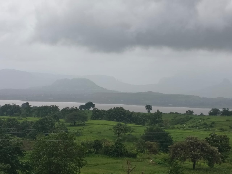  Agricultural Land 10 Acre for Sale in Igatpuri, Nashik