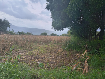  Agricultural Land for Sale in Igatpuri, Nashik