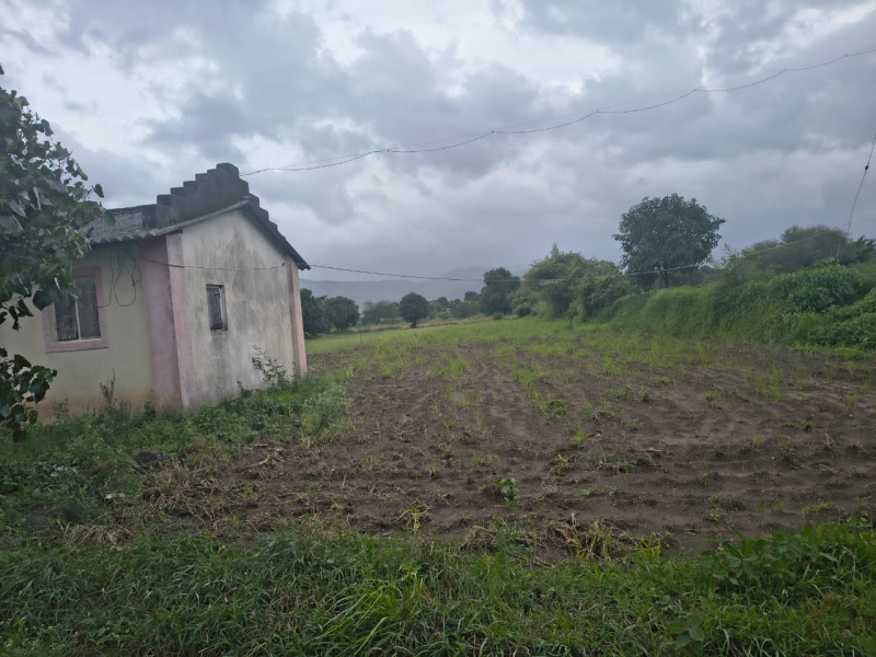  Agricultural Land 3 Acre for Sale in Igatpuri, Nashik