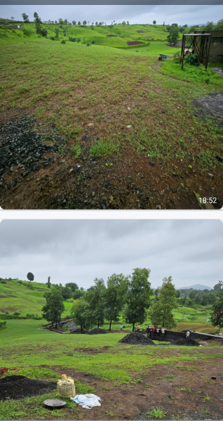  Agricultural Land 10 Guntha for Sale in Navali, Palghar