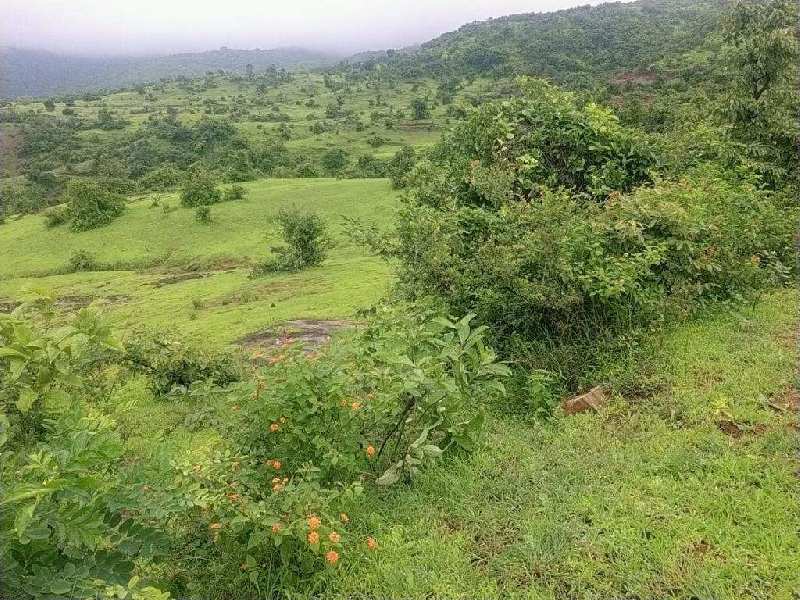 Farm Land for Sale in Velhe, Pune (REI1031425)
