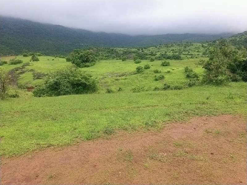 11000 Sq.ft. Agricultural Land for Sale in Velhe, Pune (REI1067765)