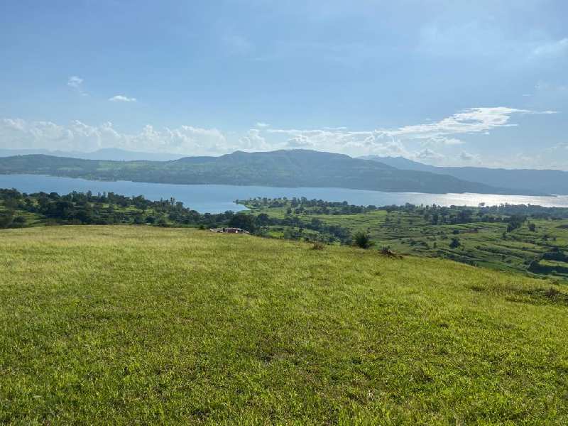 12000 Sq.ft. Residential Plot for Sale in Bhor, Pune (REI1068447)