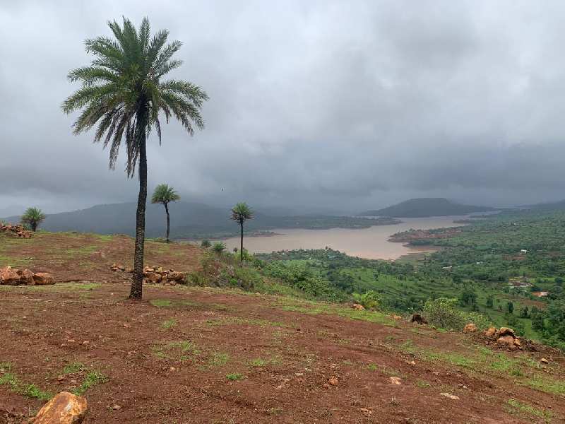 12500 Sq.ft. Residential Plot for Sale in Bhor, Pune (REI1070929)