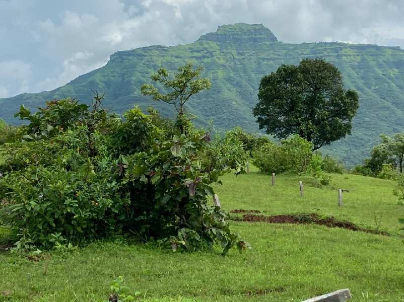 Agricultural Land for Sale in Velhe, Pune (REI1110649)