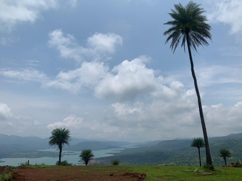 Farm Land for Sale in Bhor, Pune (REI1140076)