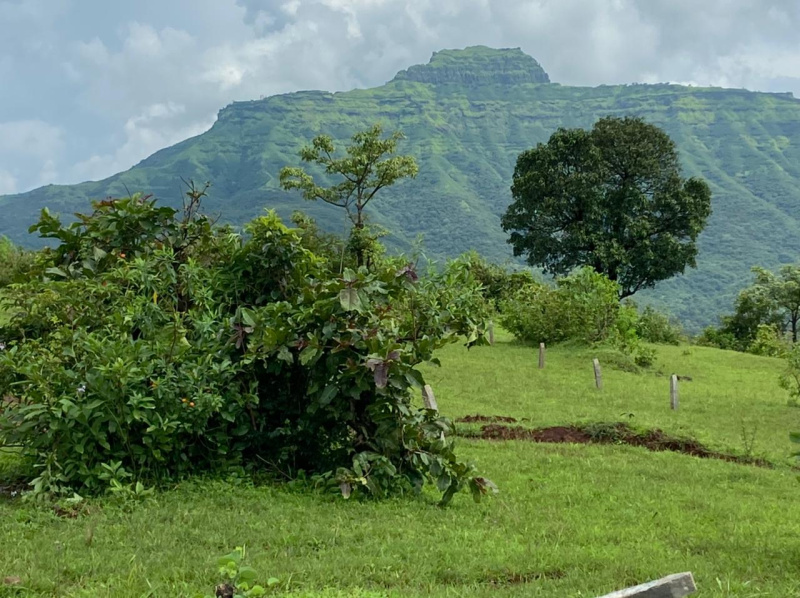 Agricultural Land for Sale in Velhe, Pune (REI1148828)