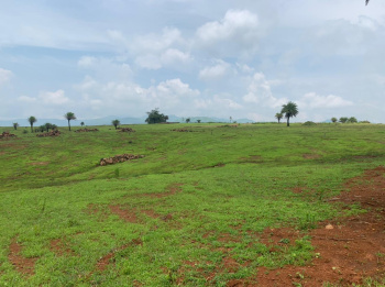  Agricultural Land for Sale in Bhor, Pune