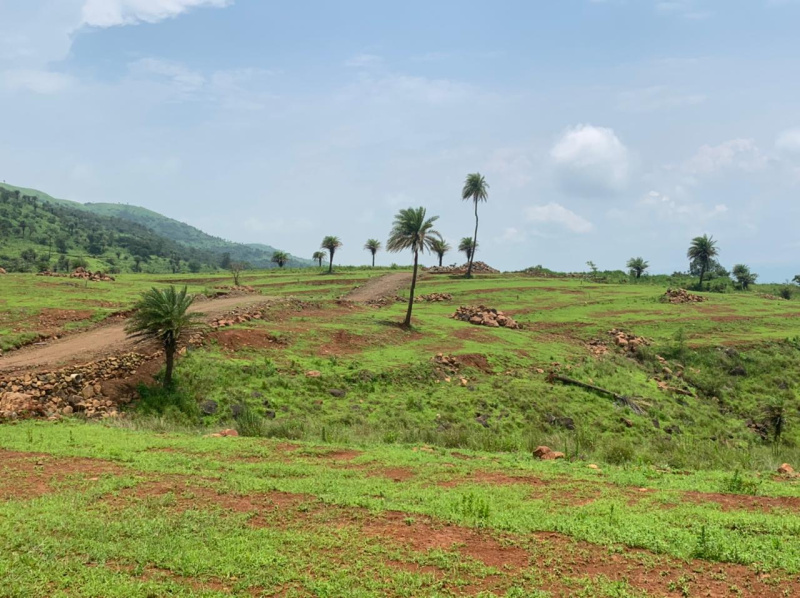  Agricultural Land 11000 Sq.ft. for Sale in Bhor, Pune