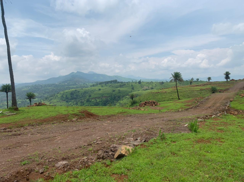  Agricultural Land 11000 Sq.ft. for Sale in Bhor, Pune