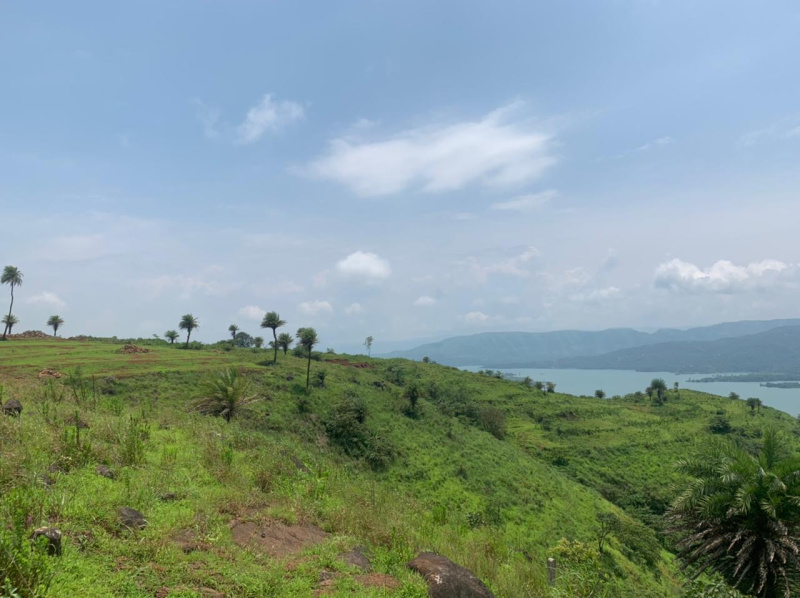  Agricultural Land 11000 Sq.ft. for Sale in Bhor, Pune