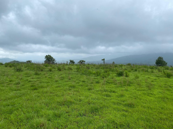  Residential Plot for Sale in Velhe, Pune