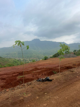  Residential Plot for Sale in Velhe, Pune