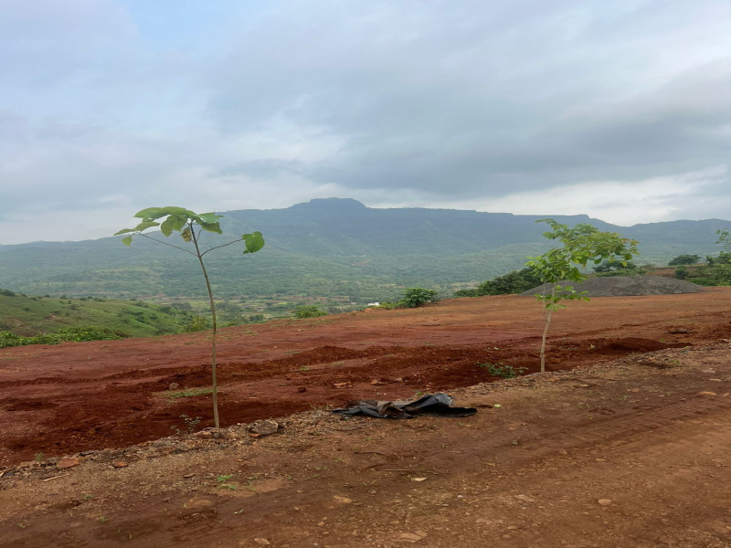  Residential Plot 11000 Sq.ft. for Sale in Velhe, Pune
