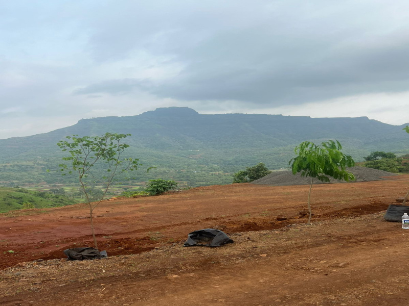  Residential Plot 11000 Sq.ft. for Sale in Velhe, Pune