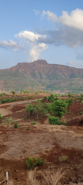  Residential Plot 11000 Sq.ft. for Sale in Velhe, Pune