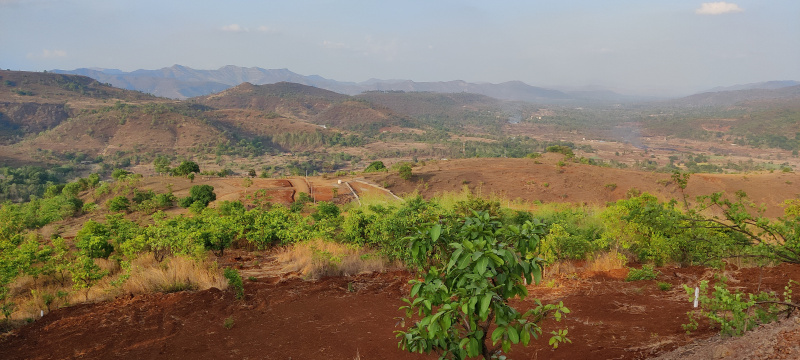  Residential Plot 11000 Sq.ft. for Sale in Velhe, Pune