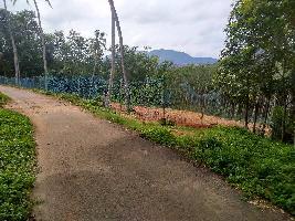  Agricultural Land for Sale in Thuckalay, Kanyakumari