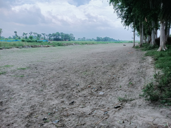  Agricultural Land for Sale in Kushinagar, Gorakhpur