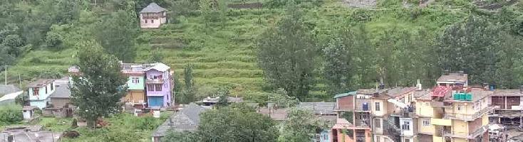  Agricultural Land for Sale in Pangna, Mandi