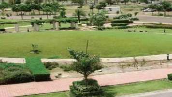  Residential Plot for Sale in Sector 103 Mohali