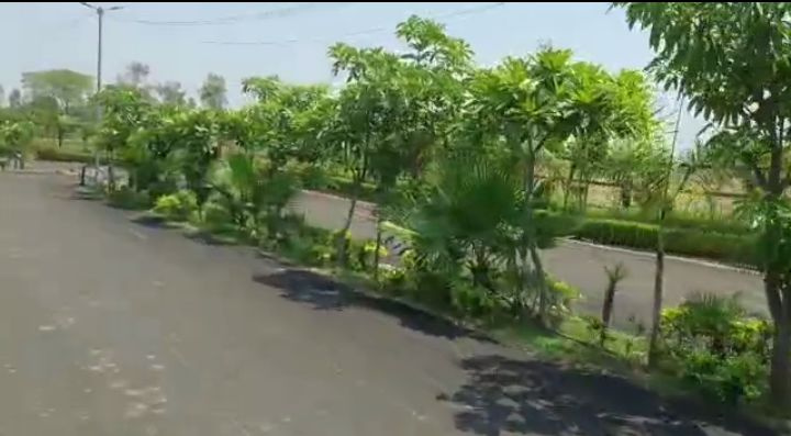  Residential Plot 1000 Sq.ft. for Sale in Mirzamurad, Varanasi