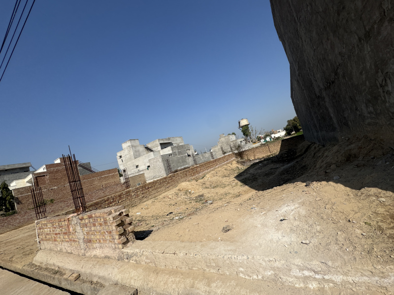  Residential Plot 263 Sq.ft. for Sale in Sangaria, Hanumangarh
